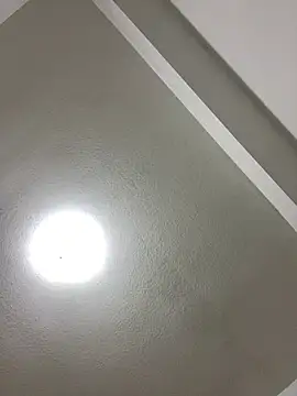 islandvybee55 online show from January 3, 2025, 8:00 am