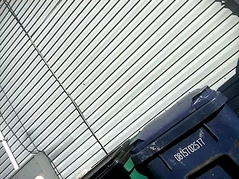 Chico Bellaco online show from October 6, 2025, 2:14 pm