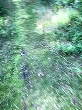 Zbochunec online show from September 13, 2025, 11:43 am