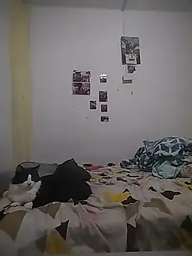 safira hot online show from February 16, 2026, 12:40 am