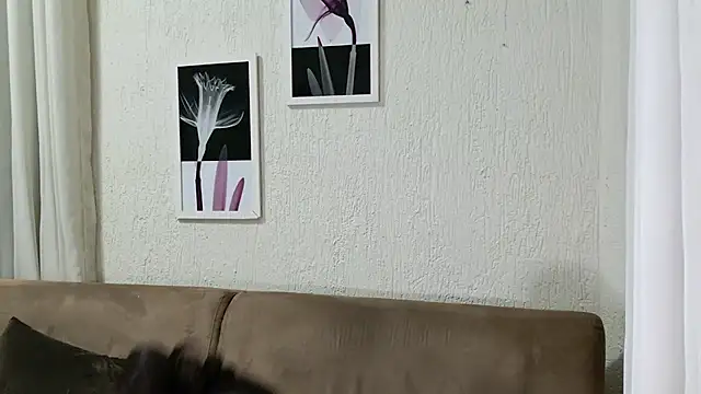 Blue butterfly online show from March 14, 2025, 5:05 am