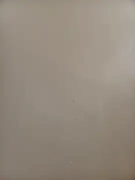 BriannaVincent online show from November 9, 2025, 4:22 am