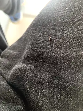 huzi518 online show from November 3, 2025, 3:30 am