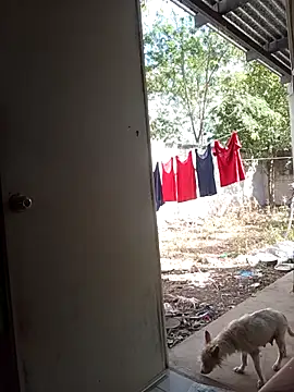 Snapshot of Andresguz35 chatting on February 8, 2026, 8:23 pm Andresguz35 online show from February 8, 2026, 8:23 pm