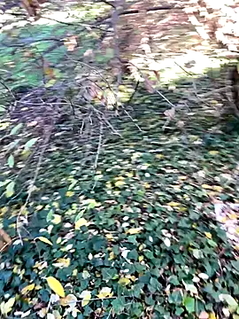 Lucascacaca online show from December 4, 2024, 2:04 pm