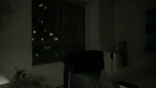 Snapshot of Gingerbushguy chatting on December 29, 2024, 9:39 am Gingerbushguy online show from December 29, 2024, 9:39 am