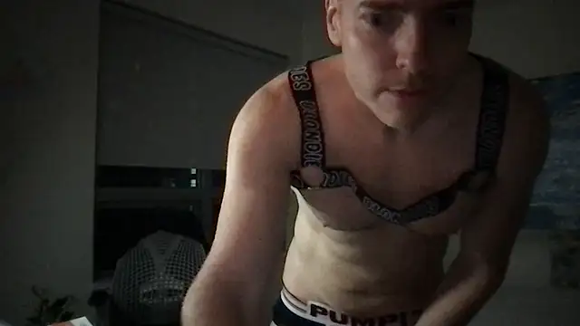 Snapshot of Gingerbushguy chatting on January 1, 2025, 12:11 pm Gingerbushguy online show from January 1, 2025, 12:11 pm