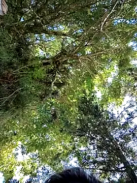 giselxxx hot online show from March 12, 2025, 2:34 pm