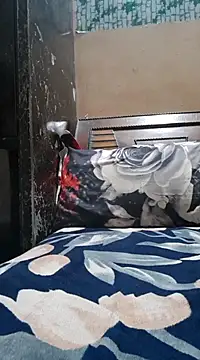 Snapshot of Bbw_Juice_Wife chatting on December 14, 2024, 9:40 am Bbw Juice Wife online show from December 14, 2024, 9:40 am