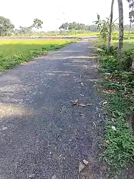 dick 01728 online show from April 11, 2026, 9:57 am