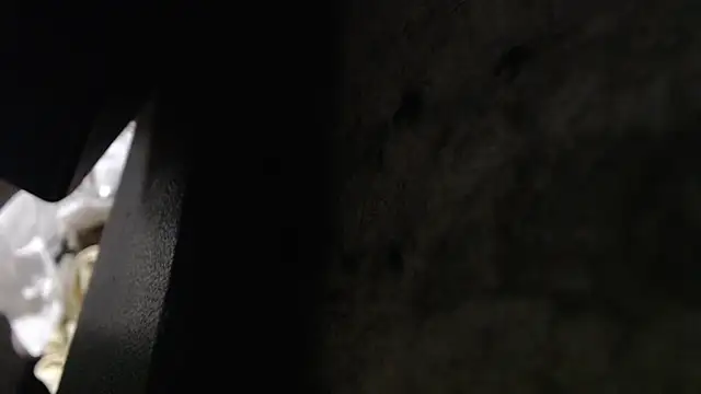 Hungry  Puppy online show from November 8, 2025, 10:19 pm