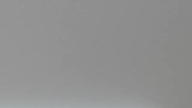 pathogen1 online show from January 15, 2026, 9:36 am