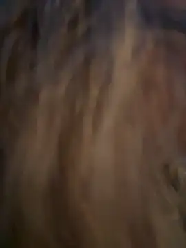 Lombada online show from November 13, 2025, 4:17 pm