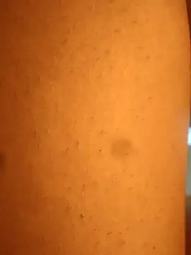 Snapshot of rohitlov150 chatting on February 20, 2025, 1:46 am rohitlov150 online show from February 20, 2025, 1:46 am