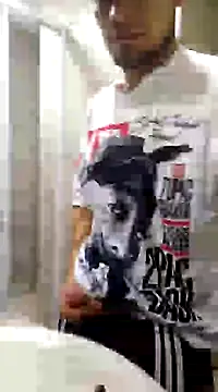 Snapshot of Jair_BM chatting on March 10, 2025, 3:45 am Jair BM online show from March 10, 2025, 3:45 am