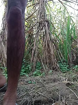 cjonybab online show from November 18, 2025, 10:20 am