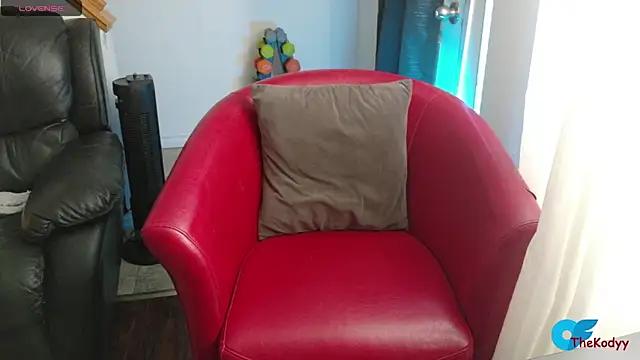 Snapshot of Thekodyy chatting on February 4, 2026, 4:24 pm Thekodyy online show from February 4, 2026, 4:24 pm