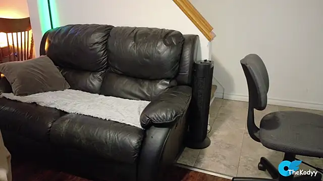 Snapshot of Thekodyy chatting on March 4, 2026, 12:44 pm Thekodyy online show from March 4, 2026, 12:44 pm