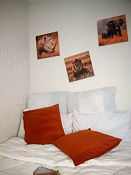 Shria107 online show from January 8, 2026, 11:45 am