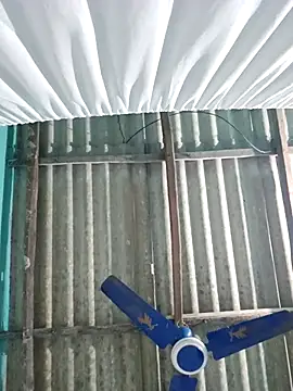 hotbaby 5 online show from November 14, 2025, 5:17 am