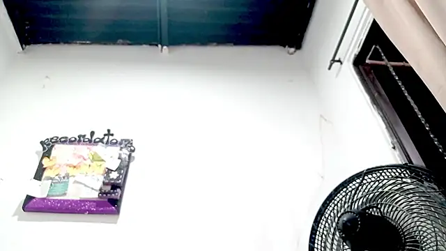 PetiteIvoryQueen19 online show from November 18, 2025, 3:34 am