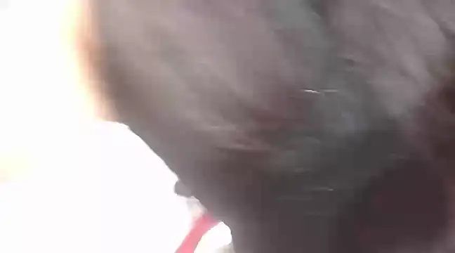 Snapshot of viki_mom chatting on January 21, 2025, 10:08 pm viki mom online show from January 21, 2025, 10:08 pm