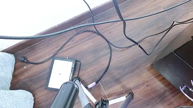 Aurora blossom   online show from December 24, 2024, 12:22 pm