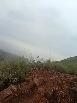 PervertedMature online show from November 6, 2025, 11:44 am