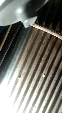 Snapshot of Huebolocko chatting on December 4, 2024, 3:26 am Huebolocko online show from December 4, 2024, 3:26 am