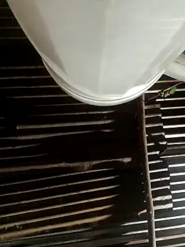 Snapshot of Huebolocko chatting on February 10, 2025, 5:03 am Huebolocko online show from February 10, 2025, 5:03 am