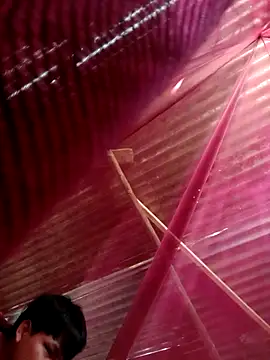 Snapshot of Huebolocko chatting on October 31, 2025, 9:05 pm Huebolocko online show from October 31, 2025, 9:05 pm