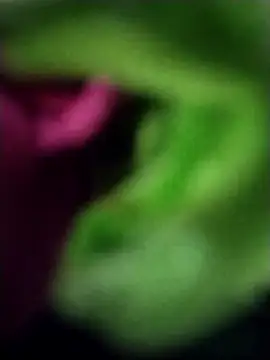 heartless  95 online show from March 23, 2025, 6:47 am