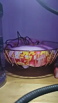 Snapshot of MissyLovexxx chatting on December 5, 2024, 12:11 pm MissyLovexxx online show from December 5, 2024, 12:11 pm