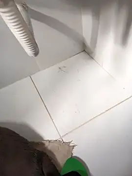 Snapshot of lobomisterioso13 chatting on March 14, 2025, 12:07 pm lobomisterioso13 online show from March 14, 2025, 12:07 pm