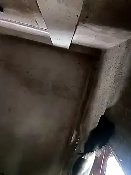 NICK IN online show from October 30, 2025, 3:52 am