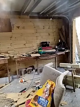 Buffshagswell online show from November 13, 2025, 4:06 pm