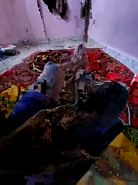 Ssdhaka11 online show from November 6, 2025, 2:51 pm