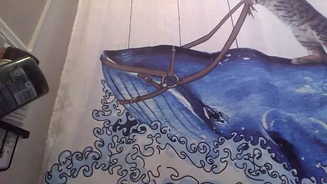 Snapshot of clitstitsandbongrips chatting on September 16, 2025, 6:03 am clitstitsandbongrips online show from September 16, 2025, 6:03 am