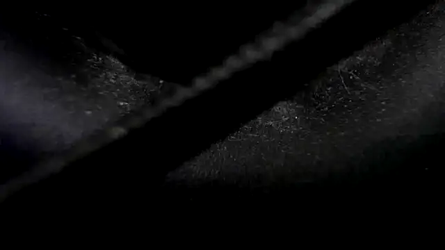 Niquitasparkles online show from January 23, 2025, 10:33 pm