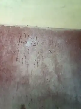 riteshika online show from April 23, 2026, 6:36 am