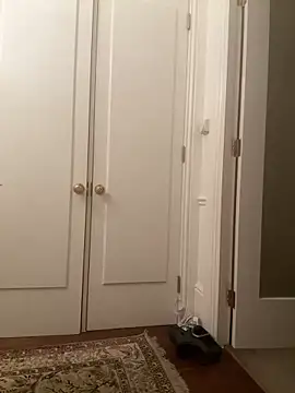 Snapshot of francaFerrariRoma chatting on December 28, 2024, 3:26 am francaFerrariRoma online show from December 28, 2024, 3:26 am