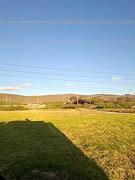 Snapshot of MIGHTY_MAGNUM chatting on February 8, 2025, 5:08 pm MIGHTY MAGNUM online show from February 8, 2025, 5:08 pm