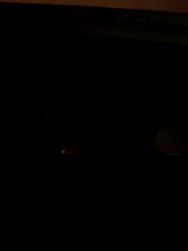 coppiapazza online show from December 18, 2025, 11:22 pm