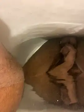 SensualG300 online show from January 17, 2026, 3:00 am