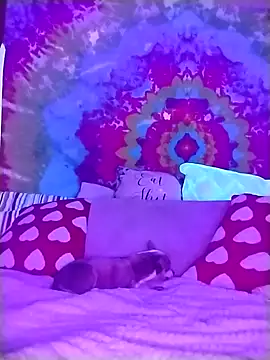 ivylee31 online show from March 4, 2026, 12:38 am