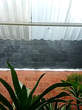 Snapshot of luchoarr chatting on November 14, 2025, 12:59 pm luchoarr online show from November 14, 2025, 12:59 pm