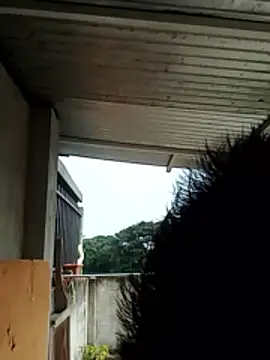 Snapshot of luchoarr chatting on December 21, 2025, 1:07 pm luchoarr online show from December 21, 2025, 1:07 pm