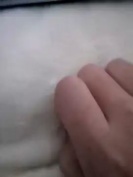 smailcat online show from December 7, 2024, 2:09 am