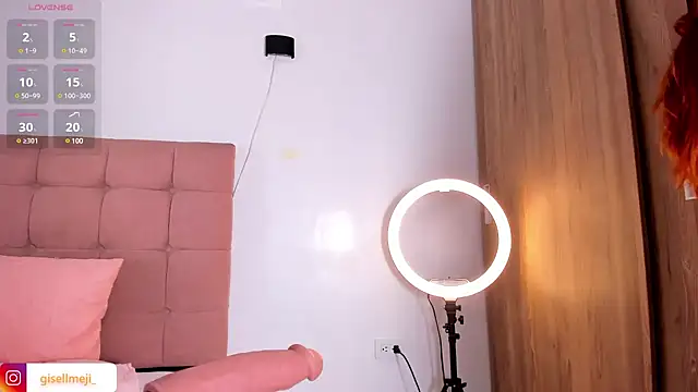 Snapshot of Gisellmejiaa chatting on March 8, 2025, 12:41 pm Gisellmejiaa online show from March 8, 2025, 12:41 pm