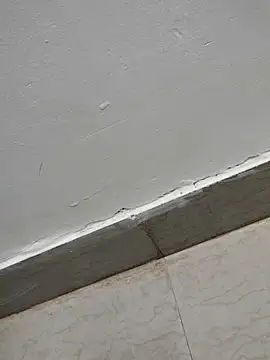 Tamilrojanew online show from March 7, 2026, 5:04 am